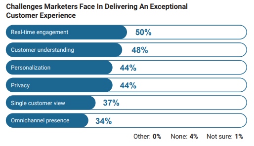 Customer Experience Challenges