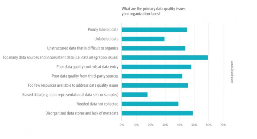 Data Quality Issues