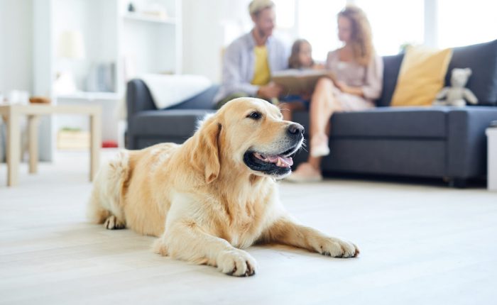 Pet Ownership and New Movers