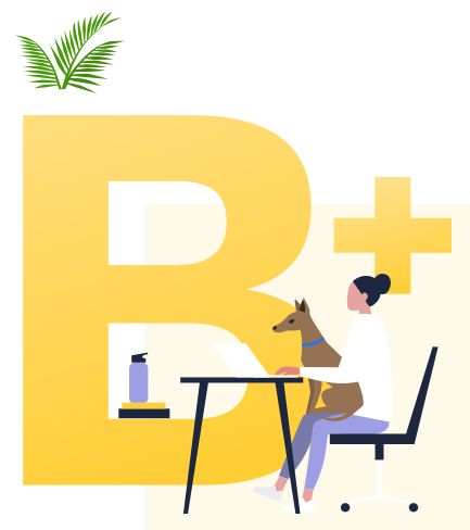 woman working on computer with dog in her lap, in front of large B+ grade