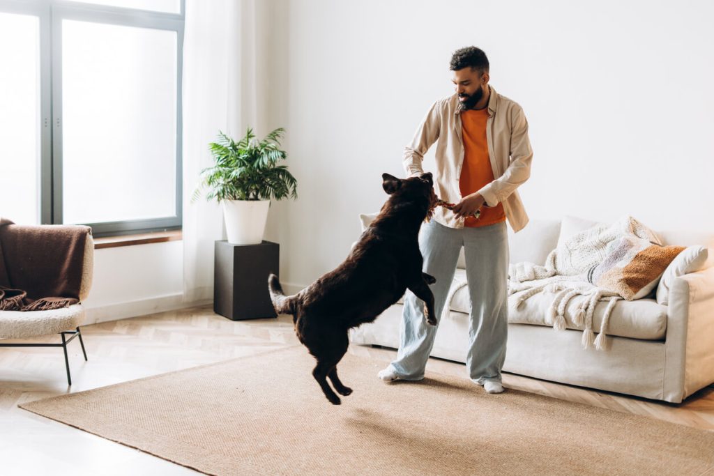 Pet Ownership Trends